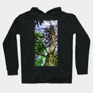 Circuitry cont'd Hoodie